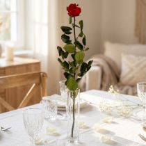 kohteita Infinity Rose säilötyt lehdet Amorosa Red L54cm