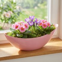 kohteita Kasvivene muovinen kukkakulho pinkki 28×9×9cm 3kpl