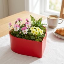 kohteita Romanttinen kasvisydänkasvikulho sydän punainen 15×15×7cm 3kpl