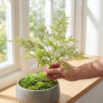 kohteita Keinotekoinen saniainen tekokasvi vihreällä parvella L45cm