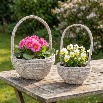 kohteita Kukkakorisetti, 2 osaa, olki, luonnonvärinen, valkoinen, Ø23/28, shabby chic