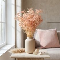 kohteita Gypsophila Decoration Oranssi kuivattu ruoho persikka 65-70cm 100g