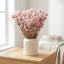kohteita Kuivatut kukat Nippu kuiva koriste kamomilla pinkki 65cm 50g
