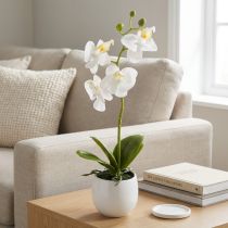kohteita Valkoiset orkidea-tekokukat ruukussa Phalaenopsis K33cm