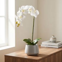 kohteita Keinotekoinen orkideakasvi, petollisen realistinen, toimiston ja olohuoneen sisustukseen, 62 cm