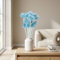 kohteita Craspedia-kuivakukkakoriste maljakkoon, minimalistinen tyyli, pitkäikäinen kesäkoriste, 55 cm, 20 kpl