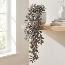 kohteita Seeprayrtti Keinotekoinen riippukasvi Tradescantia 90cm