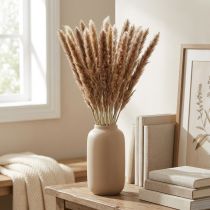 kohteita Kuivatut heinät Pampas-heinä luonnollinen nippu 80cm 100g