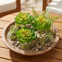 kohteita Echeveria Artificial Succulents Vihreä Ø7cm 6 kpl