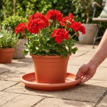 kohteita Lasinnaula "Linda" Ø37cm terrakotta
