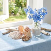 kohteita Kuoren koristelu merietana luonnollinen 350g × 3kpl