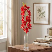 kohteita Orkidea Cymbidium Red 78cm