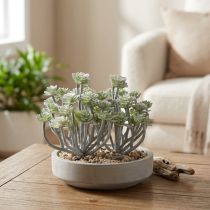 kohteita Stonecrop Keinotekoiset mehikasvit Keinokasvit 16cm 4 kpl