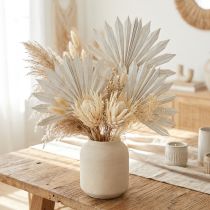 kohteita Palmspear Sun mini kalkittu 50 kpl