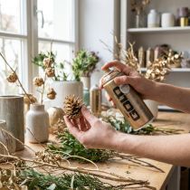 kohteita Kuparikromiefekti-spraymaali luoviin projekteihin Montana Cans 400ml