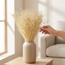 kohteita Kuivattua ruohopellavaa, kuivattua, luonnonvalkaistua 50-55cm 180g