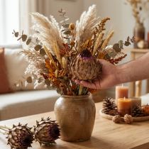 kohteita Artisokan kukinto kuivattu artisokka Cynara Ø9cm 16 kpl
