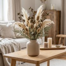 kohteita Eukalyptuksen oksat luonnollinen koristeellinen eksoottinen eukalyptus 20-30cm 25 kpl