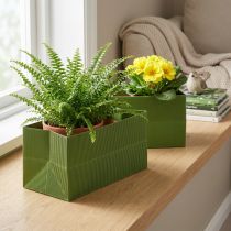 kohteita Kukkaistutuskone Pitkä Ribbed Green Oliivinvihreä 24x12cm 6 kpl