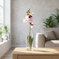 kohteita Keinotekoinen Phalaenopsis-orkidea, valkoinen ja violetti, 43 cm