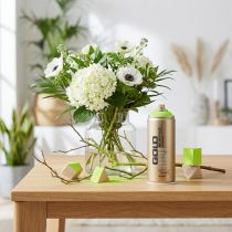 kohteita Maali spray omenanvihreä spraymaali akryylimaali Montana Gold 400ml