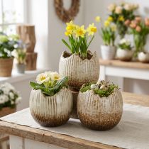kohteita Plant Pot Keraaminen Muna Murtunut Kerma Ruskea Ø9,5cm 3 Kpl