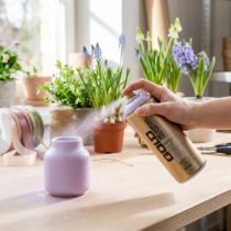 kohteita Spray Paint Spray Montana Gold Light Purple Matt 400ml