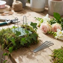kohteita Ivy Pins 80mm Galvanized Florist Pins 400g