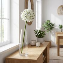 kohteita Koristekukka Allium, keinotekoinen pallipurjo, koristeellinen sipuli valkoinen Ø20cm P72cm