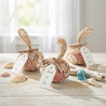 kohteita Merellinen koristeellinen simpukkasekoitus verkossa, värikäs, 3,5-6 cm, 300 g × 3 kpl