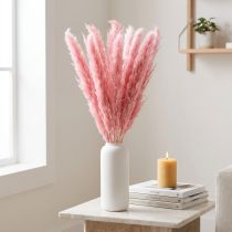 kohteita Kuiva ruoho vaaleanpunainen koristeellinen ruokoheinä pampas 70 cm 10 kpl