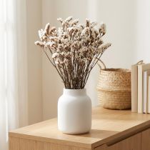 kohteita Valkoisen merilaventelin (Limonium) kuivatut kukat, 60 cm, 35 g