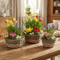 kohteita Shabby Chic -valkoinen kukkakorisetti, pääsiäiskoriste, luonnonvärinen kori kahvoilla Ø28/24/19cm, koristekorit pesty
