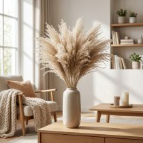 kohteita Kuiva ruoho Miscanthus 55-75cm höyhenruoho luonnollinen 100 kpl