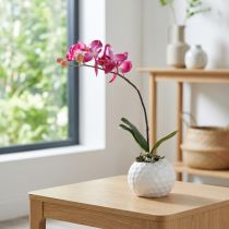 kohteita Keinotekoiset orkideat ruukussa Phalaenopsis tekokukat orkideat pinkki 34cm