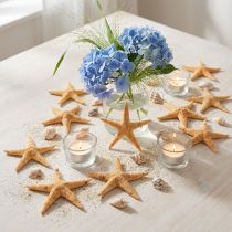 kohteita Meritähti scatter koristeet kotiin deco mini meritähti luonto 2-4cm 50p