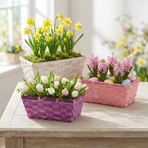 kohteita Sirukori neliö purppura/valkoinen/pinkki 8 kpl