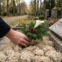 kohteita Koristeellinen sammalkuivattu metsäsammalevalkaistu luonnonkoristelu 300g