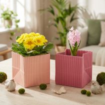 kohteita Kukkakassi kukkalaukku pinkki lohi 12cmx12cm 6 kpl