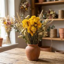 kohteita Kuivattua keltaista oljenkorren (Helichrysum) kukkakimppua, 100g