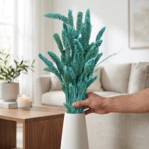 kohteita Kuivatut kukat, Setaria Pumila, harjas hirssinsininen 65cm 200g
