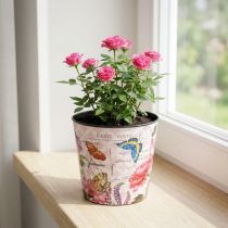 kohteita Planter kukkakuvioinen muovinen 10,5cm kukkaruukku kesäkoristelu