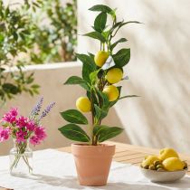 kohteita Sitruunapuu ruukussa, tekokasvi 42cm - Välimeren koristeellinen tekokuusi
