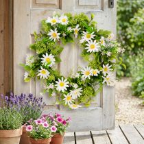 kohteita Daisy Wreath Valkoinen Vihreä Keinotekoinen Ø28cm K9cm