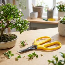 kohteita Oasis bonsai &amp; pincer sakset 15,5 cm
