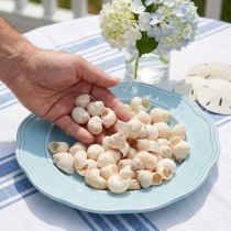 kohteita Umachi simpukka 500g