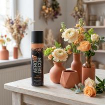 kohteita Color Spray Spray Paint Silk Matt Terracotta 400ml