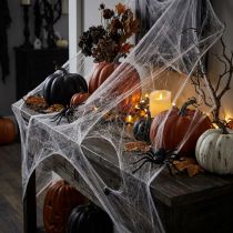 kohteita Halloween-koristeena hämähäkinseitti 70×100cm 150g