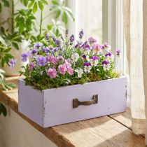 kohteita Istutuskoneen koristelaatikko Shabby Chic Wood Purple 25×13×8cm