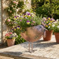 kohteita Kukkaruukku Chicken Metal Bird Metallic Rosé 51×16×37cm